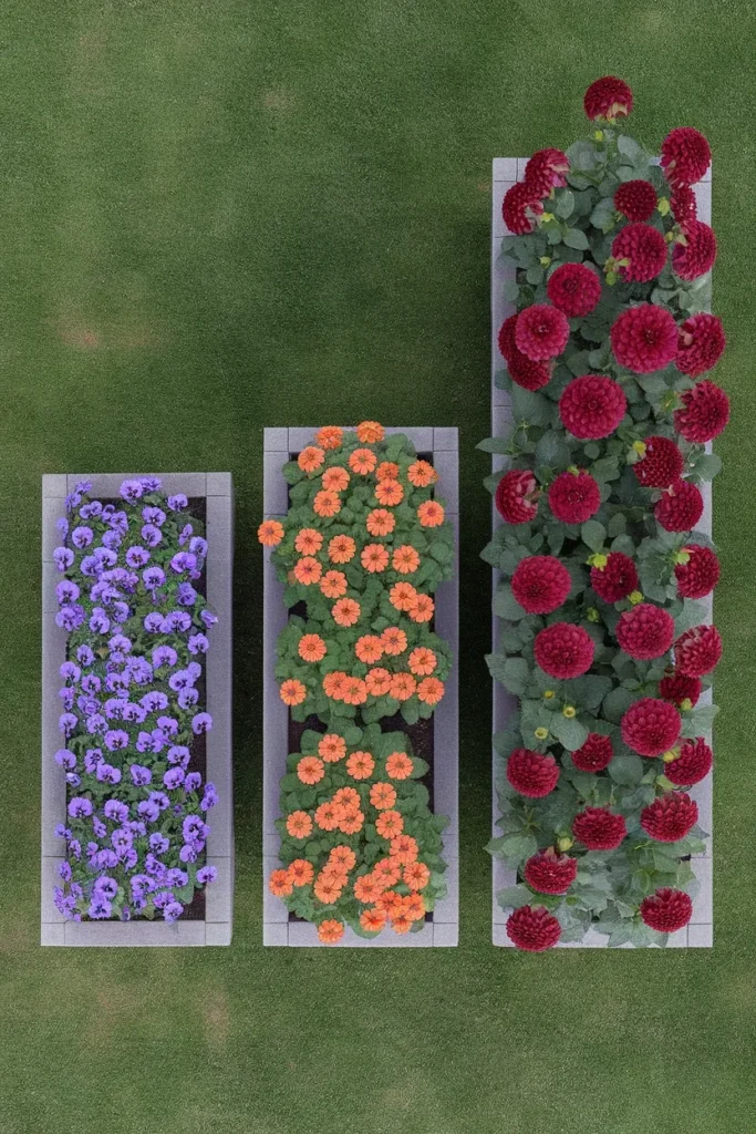 Three raised flower bed planter boxes at 6, 12, and 18 inch depths with matching blooms