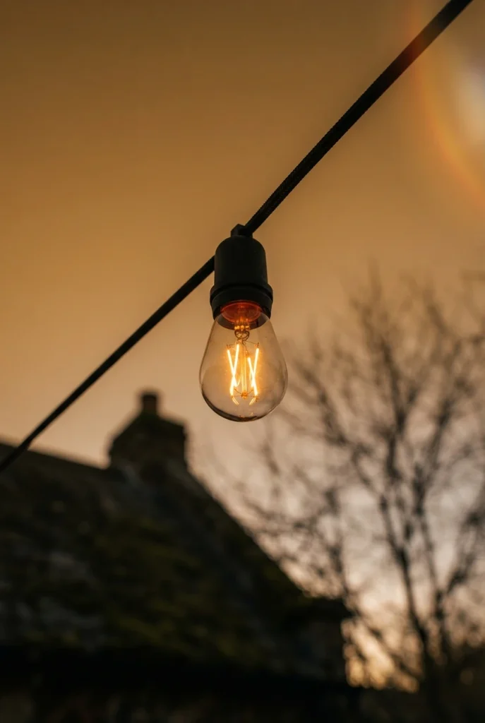 Warm cafe bulb hung low at dusk for cozy fall backyard lighting