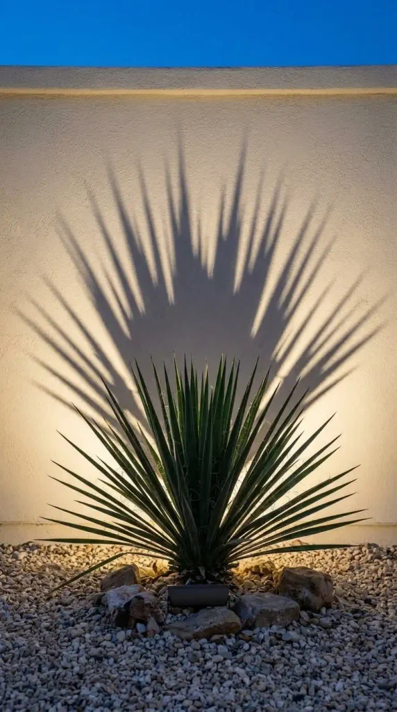 Xeriscape outdoor lighting with a yucca silhouette shadow cast on a stucco wall at night